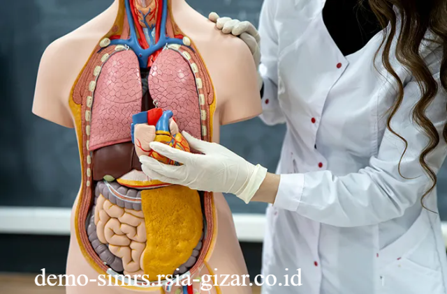 Menjaga Ekosistem Usus Sebagai Pusat Pertahanan Tubuh