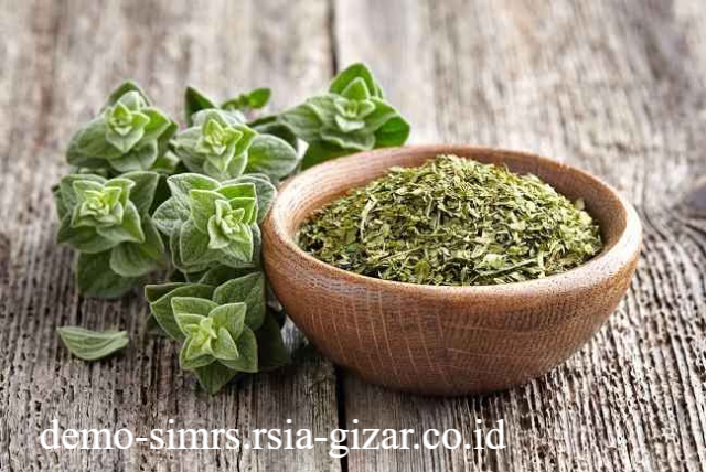 Minyak Esensial Daun Oregano Merusak Dinding Sel Kuman Guna Mempercepat Penyembuhan Luka Ruam Kulit
