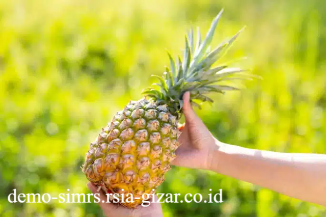 Enzim Proteolitik Buah Nanas Menekan Zat Pemicu Peradangan Guna Meredakan Rasa Nyeri Sendi Pasien